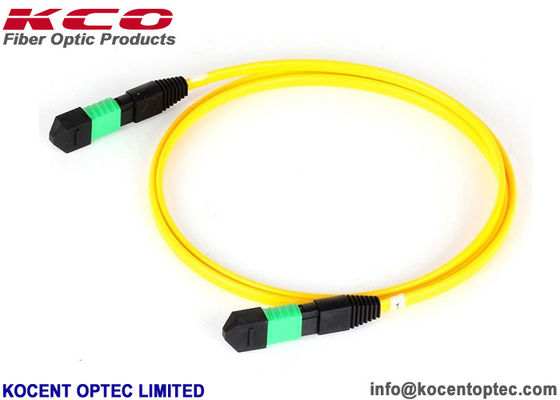 LSZH 8 Core G657A2 MPO MTP Patch Cord Single Mode MPO Trunk Cable Customized Length