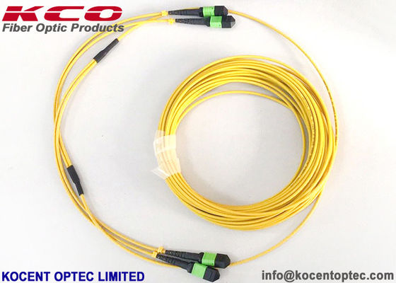 MPO APC 24fo 48cores G657A1 Elite Pérdida de inserción MTP Cable de parche de fibra óptica