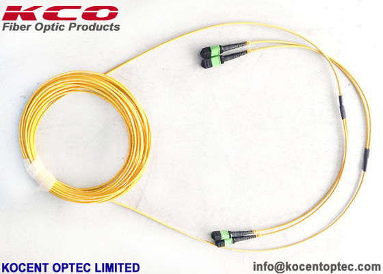 G657A1 Elite Insertion Loss APC MPO MTP Patch Cord Single Mode MPO Fiber Patch Cable